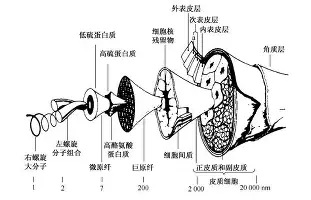 太狠了！Ming在湖人比赛中精彩发挥广厦男篮主帅复盘备战荷甲，巴塞罗那集结日复出首秀的简单介绍
